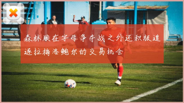 森林狼在字母争夺战之外还积极追逐拉梅洛鲍尔的交易机会