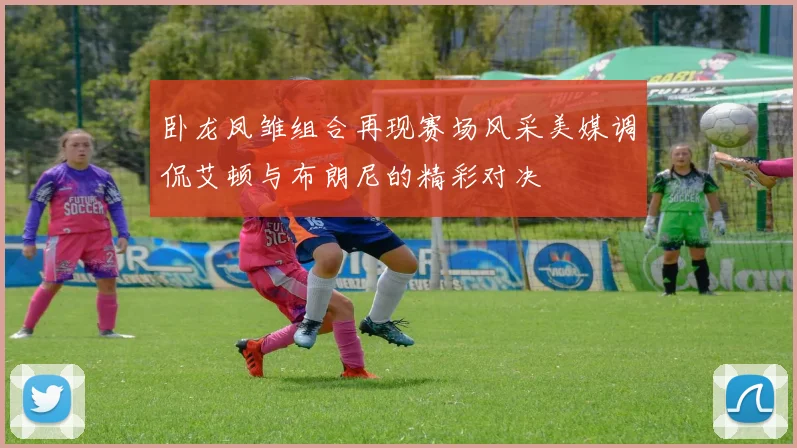卧龙凤雏组合再现赛场风采美媒调侃艾顿与布朗尼的精彩对决
